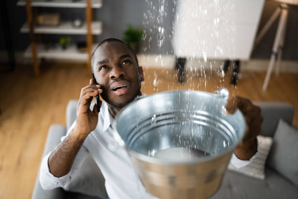 Best Water damage restoration services  in Lawrenceville, VA