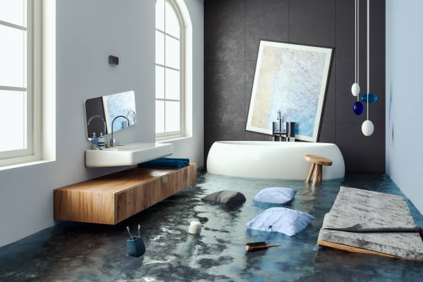 Best 24/7 water damage repair  in Lawrenceville, VA