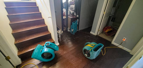 Best Carpet water damage restoration  in Lawrenceville, VA
