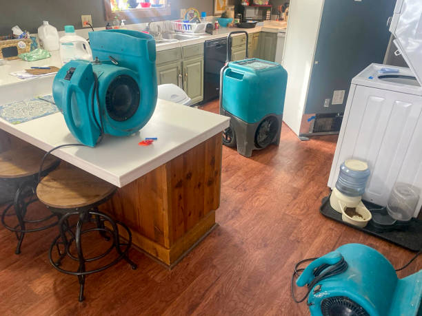 Best Mold removal after water damage  in Lawrenceville, VA
