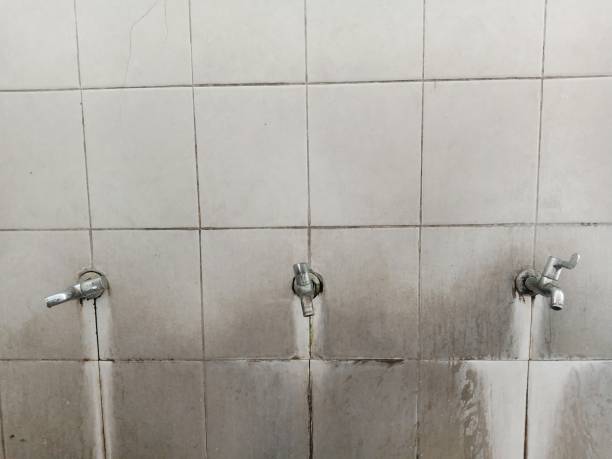 Best Sewage cleanup and water damage restoration  in Lawrenceville, VA
