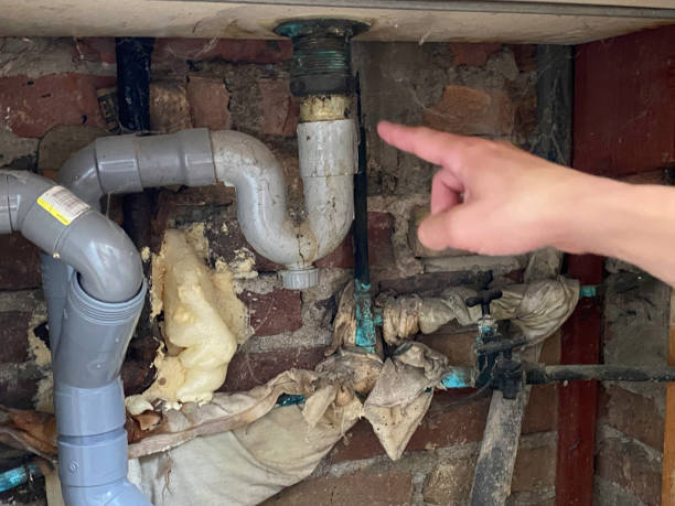 Best Local water damage restoration  in Lawrenceville, VA