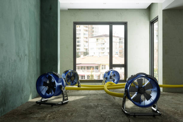 Professional Water damage restoration in Lawrenceville, VA