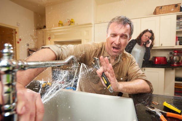 Best Flood damage cleanup  in Lawrenceville, VA